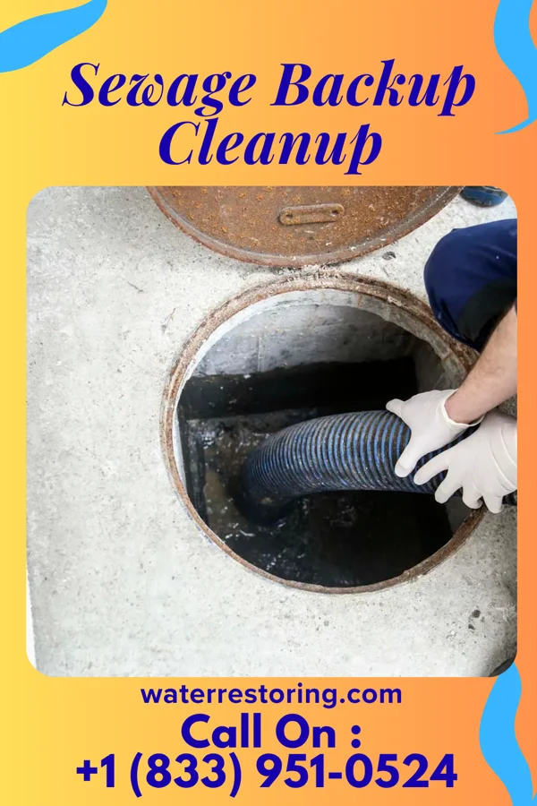 Sewage Backup Cleanup in Terrell Hills, TX